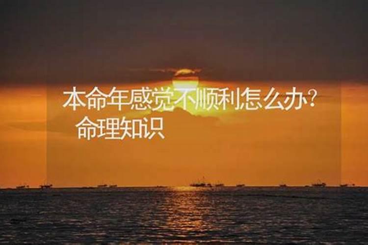 今年是我的本命年,感觉不太顺