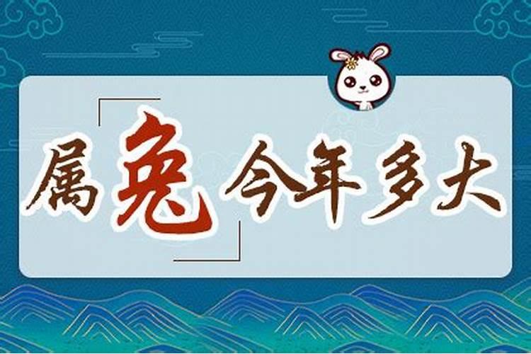 2000属兔的今年多大