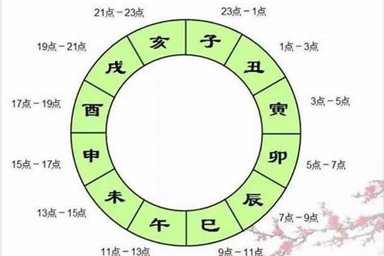 巳时男和亥时女八字合吗