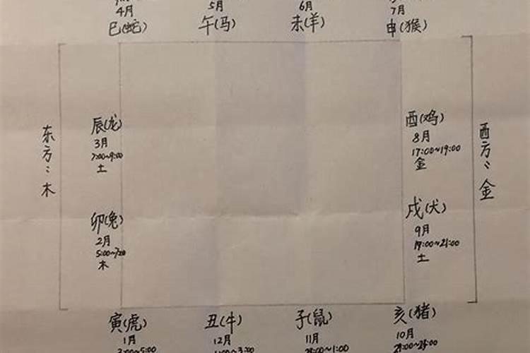 宝字指什么生肖