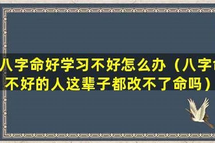 八字好的人会考上大学吗