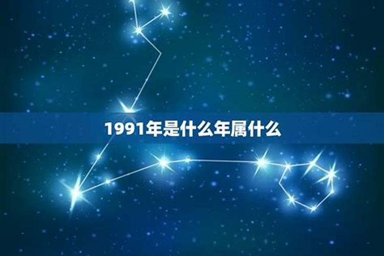 1991年的是什么星座？