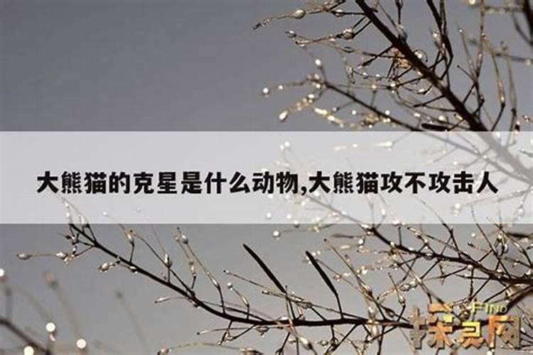 犯小人的克星是什么