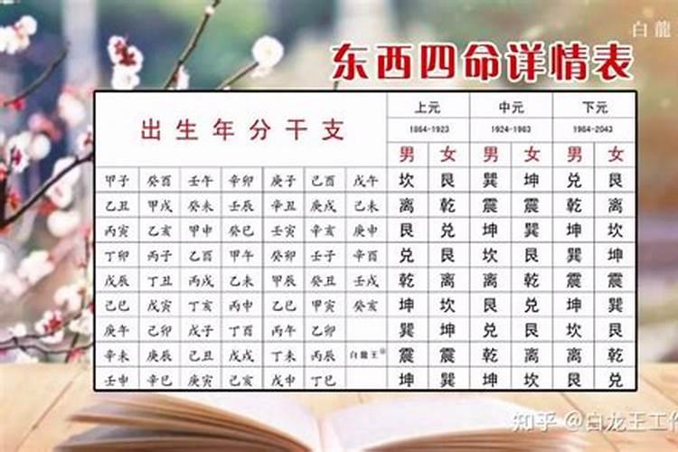 八字排盘中兑宫西四命是什么意思