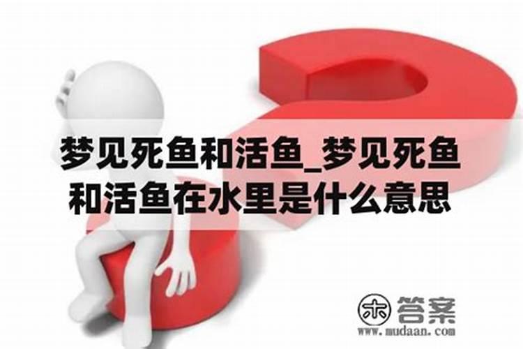 怀孕梦见鱼死了是什么意思