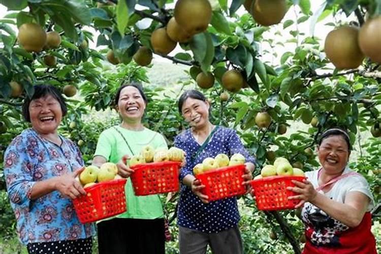 梦到叔叔婶婶在市场卖梨