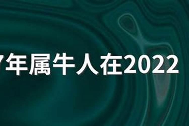 97年属牛的2022年可以结婚吗？