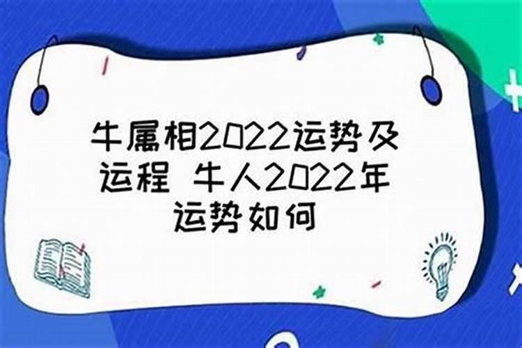 本命年属牛运气不好怎么办用什么化解？