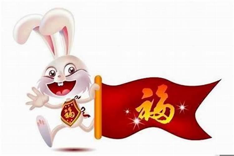 属兔子今年运势好不好