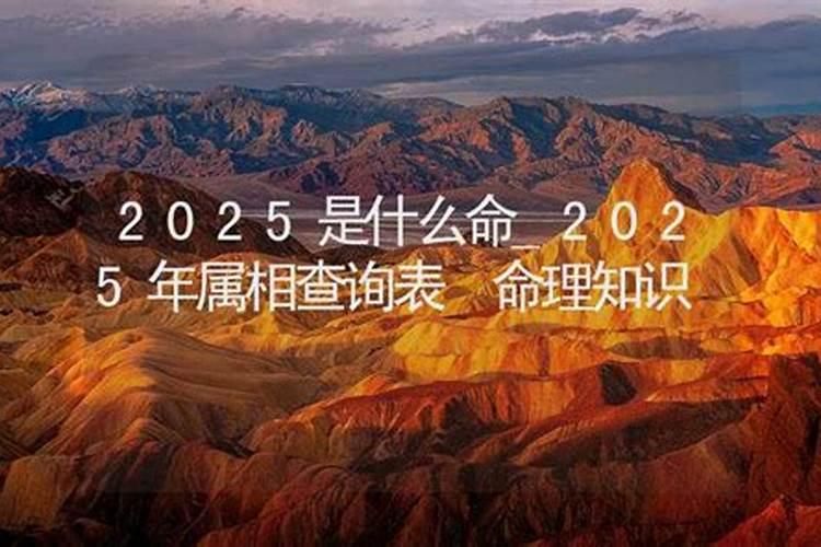 2025属相