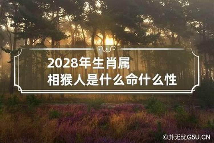 2028年猴年五行属什么属性