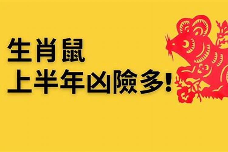 属鼠在下半年运势2023