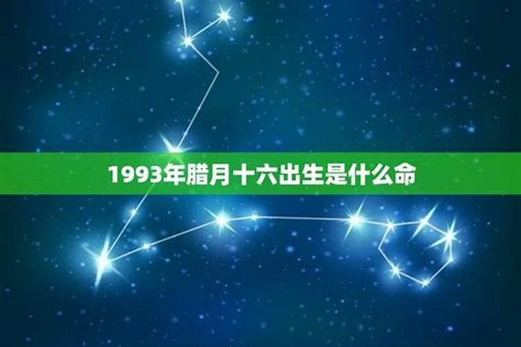 1993腊月初九命运