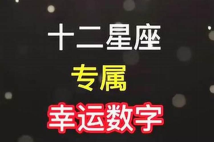 13是什么星座的幸运数字