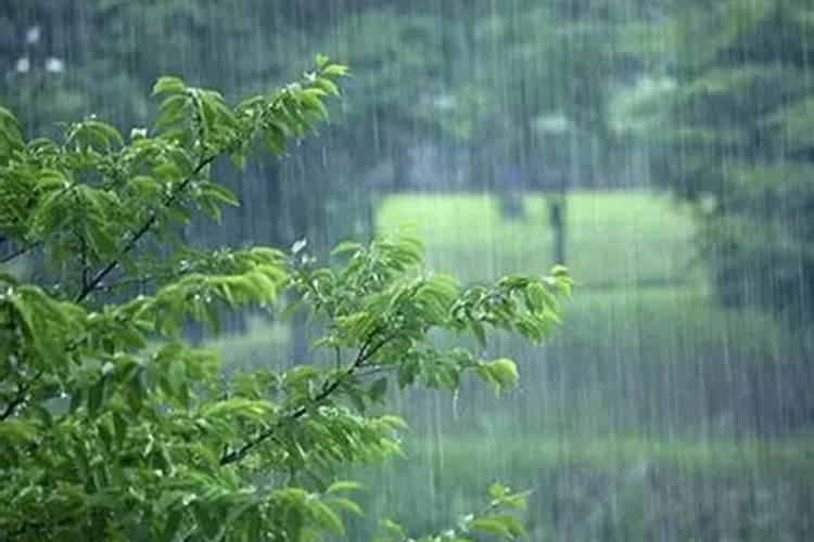 怀孕梦见下大雨涨水