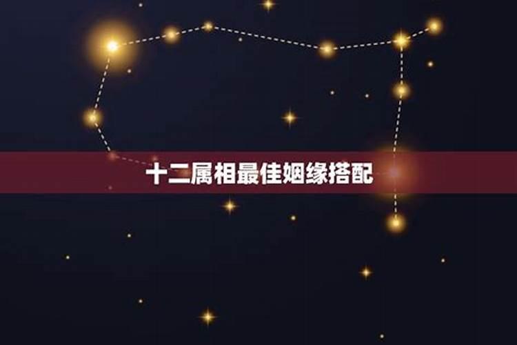 属狗的今年运势怎么样2023年