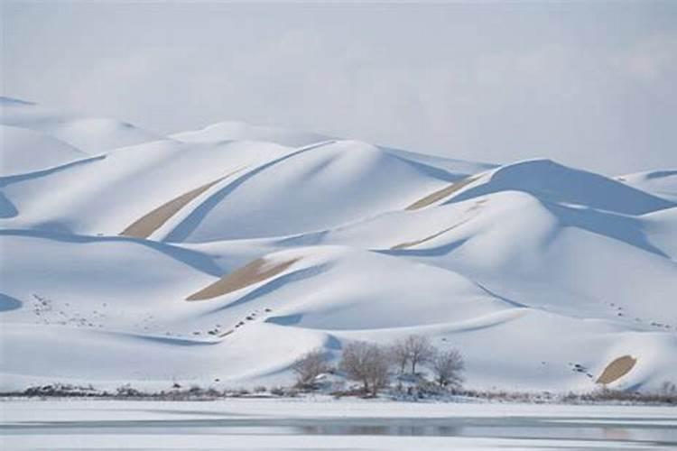 冬至新疆下雪了吗今年几月