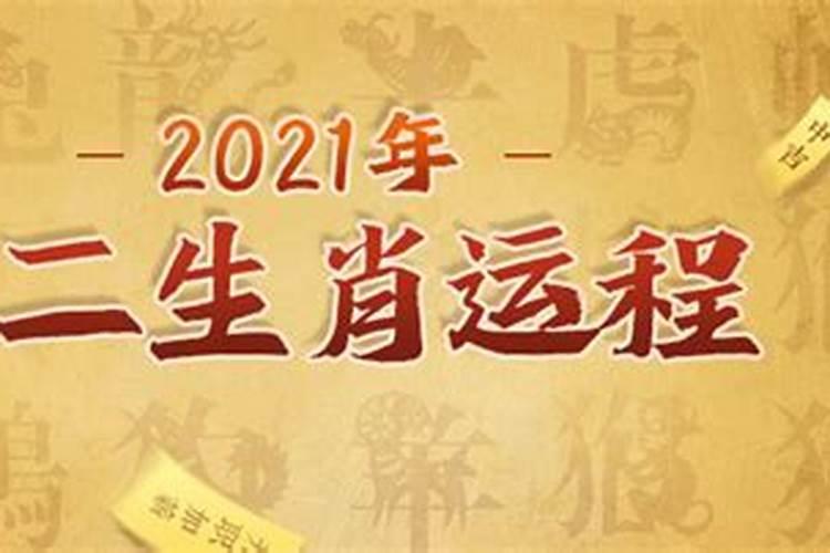 今年的12个月的运势