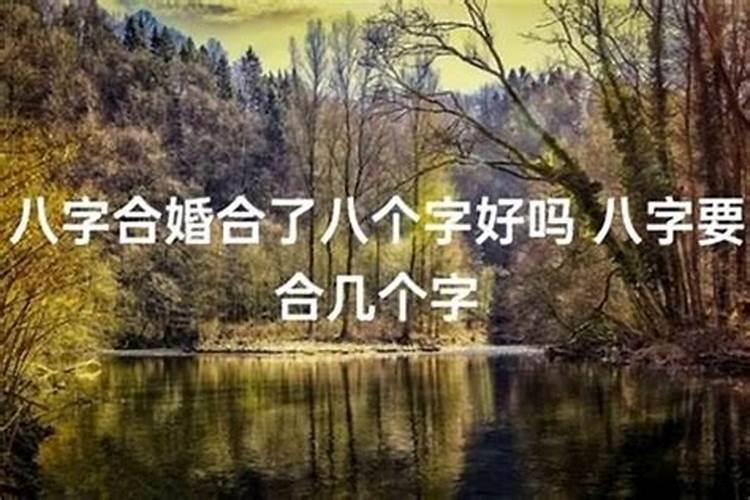 两个人婚配应该去看八字吗