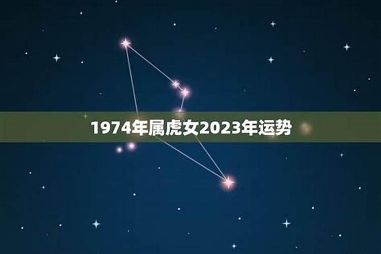 12生肖今年的运势