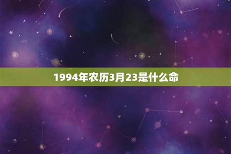 94年狗在农历三月运势会好吗