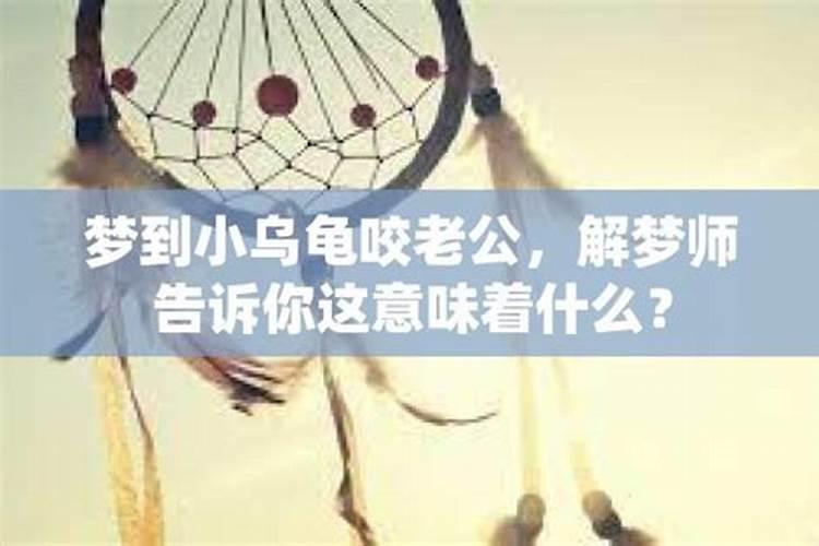 梦见老公手拎着乌龟