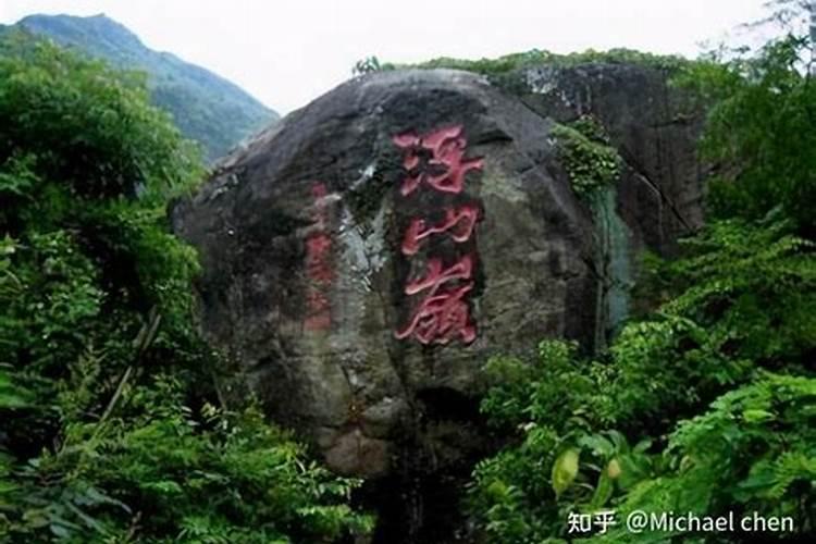 茂名有哪些大小年种类