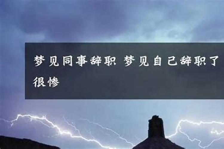 梦到老板同意我离职