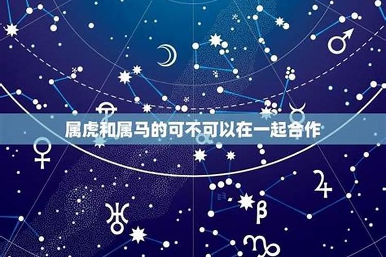 哪几个星座不能在一起