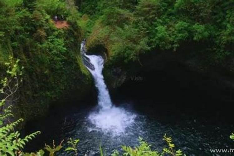 梦见家里的水流了一地