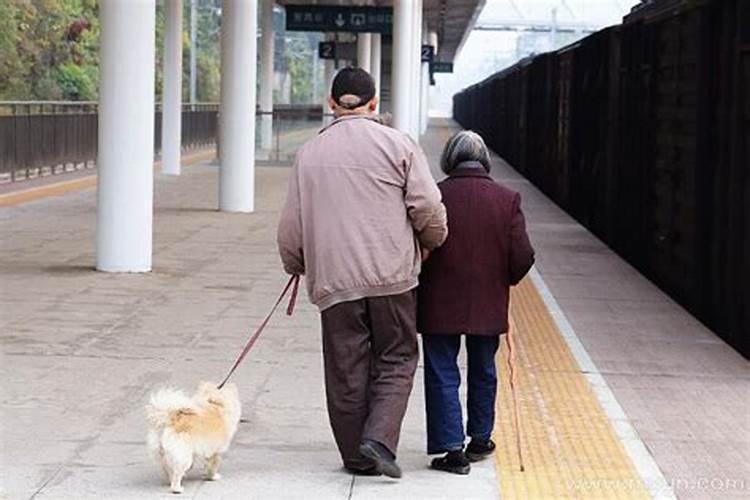 梦见死去爷爷回来接走奶奶