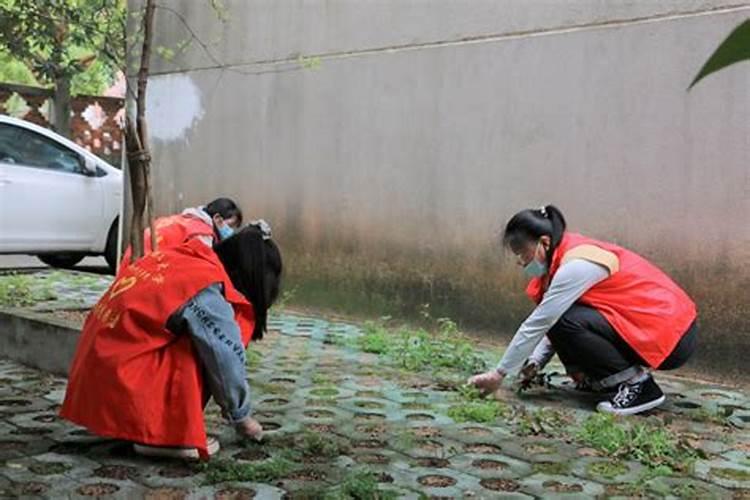 清明节志愿活动有哪些活动内容