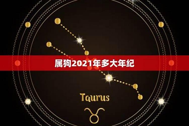 属狗2021年三大喜事如何