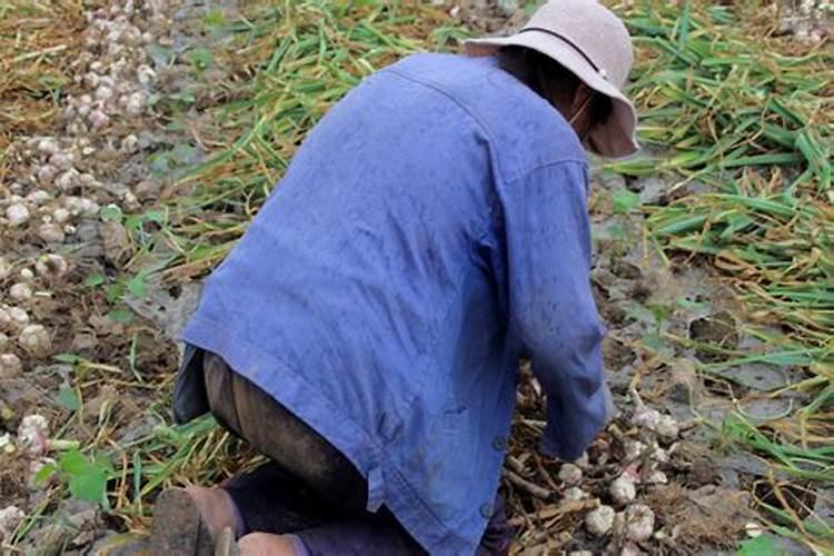 梦见石山崩塌滚滚而下没有打到我