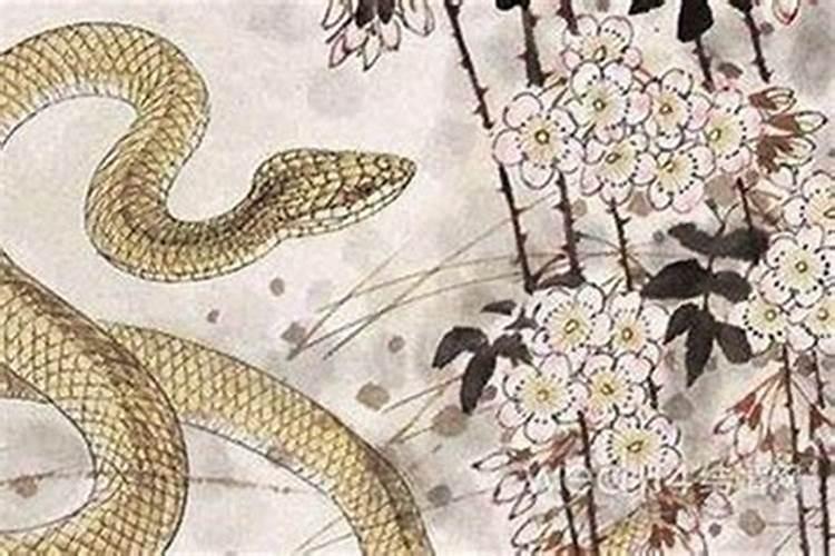 属蛇和属蛇的婚姻怎么样啊