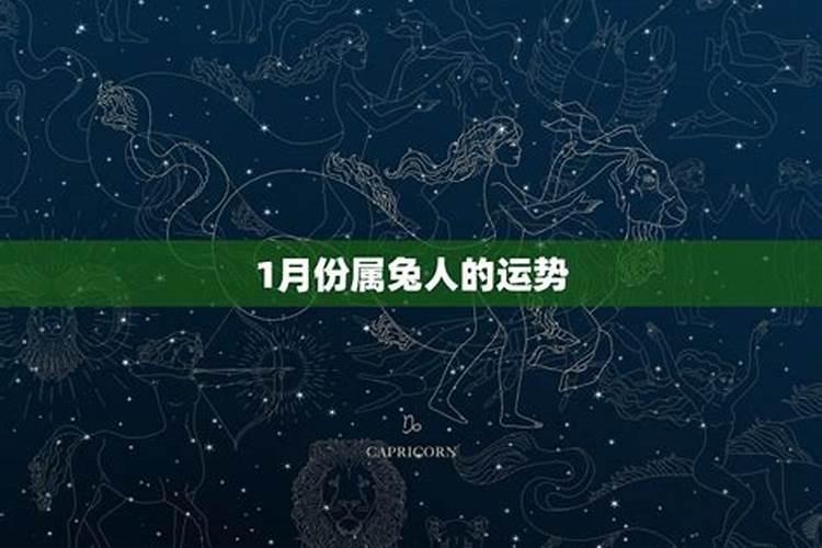 属兔的12月份的运势如何