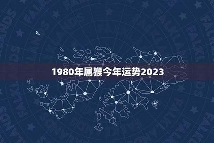 1980出生的今年的运势如何