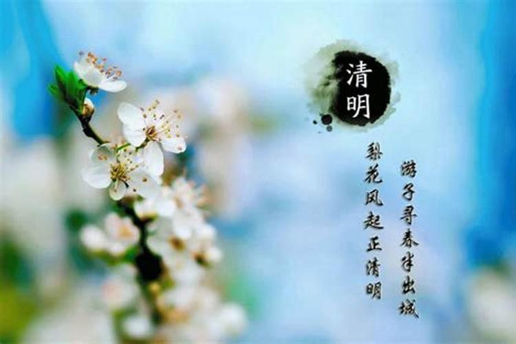 清明节寄托了哪些情感