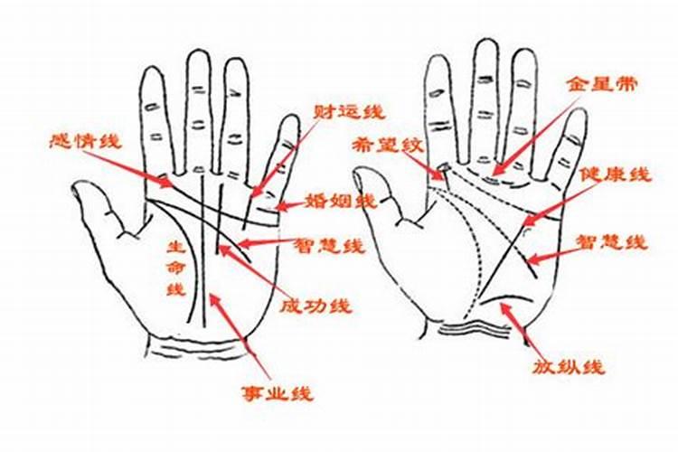手掌纹路什么运势
