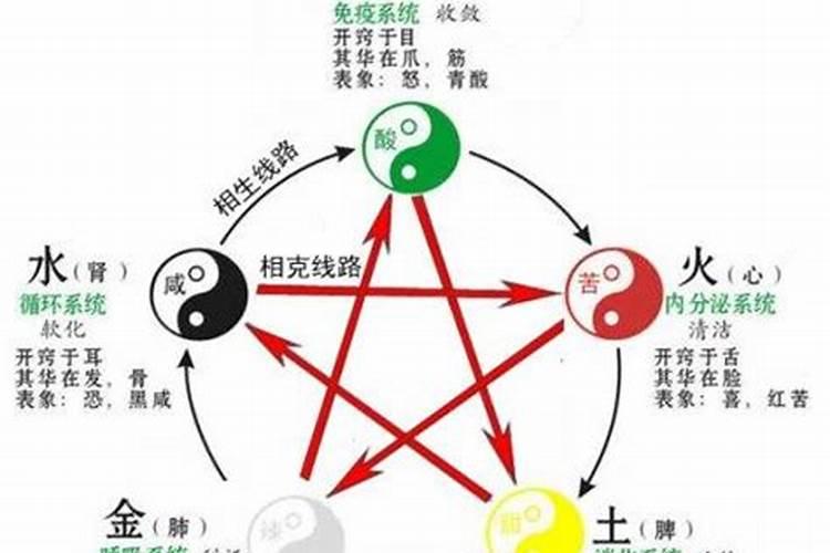 甲子日五行属什么？