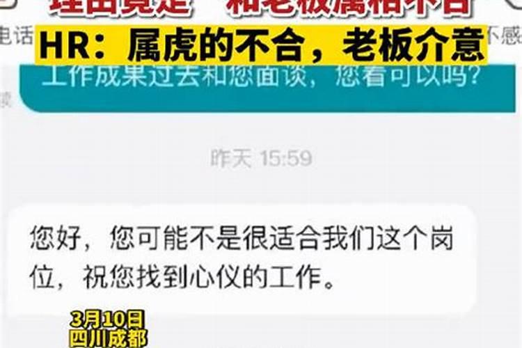 因为跟老板的八字不合面试被拒