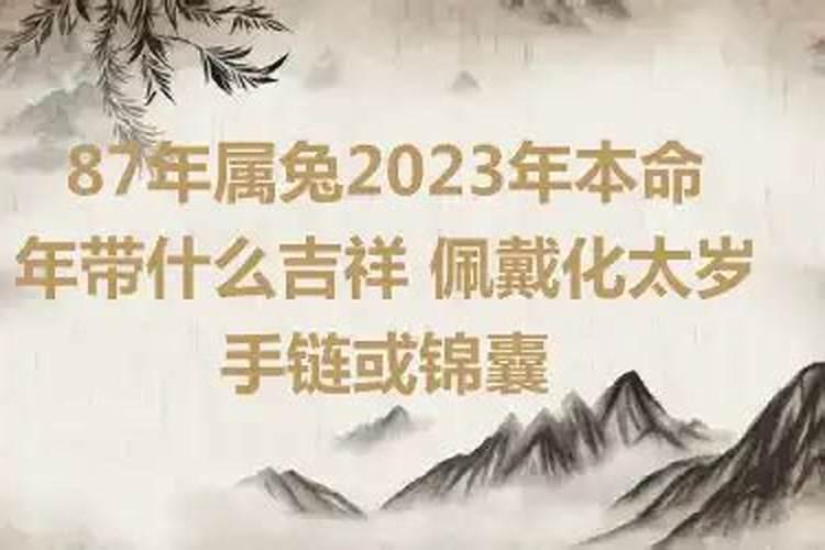 87兔2023年本命年运势