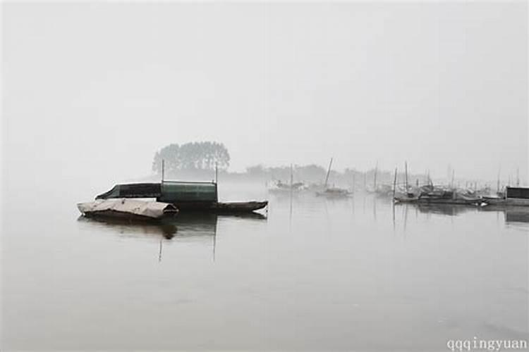 春潮带雨晚来急野渡无人舟自横是什么生肖