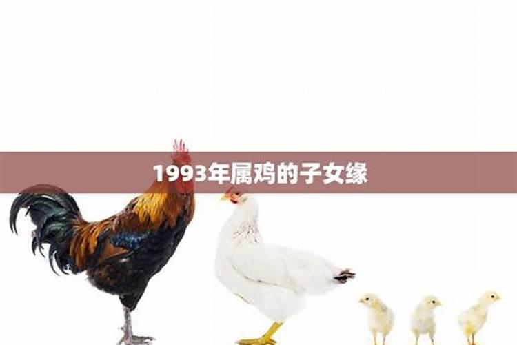 93年属鸡的重感情心软