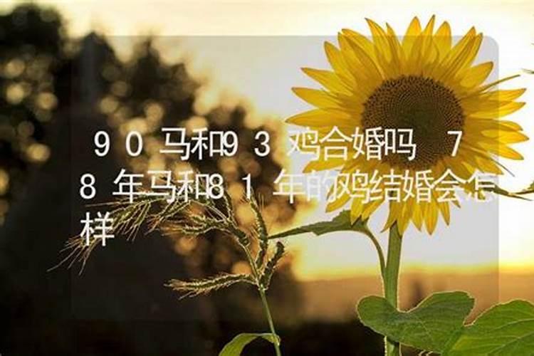 73年和81年的鸡合婚吗