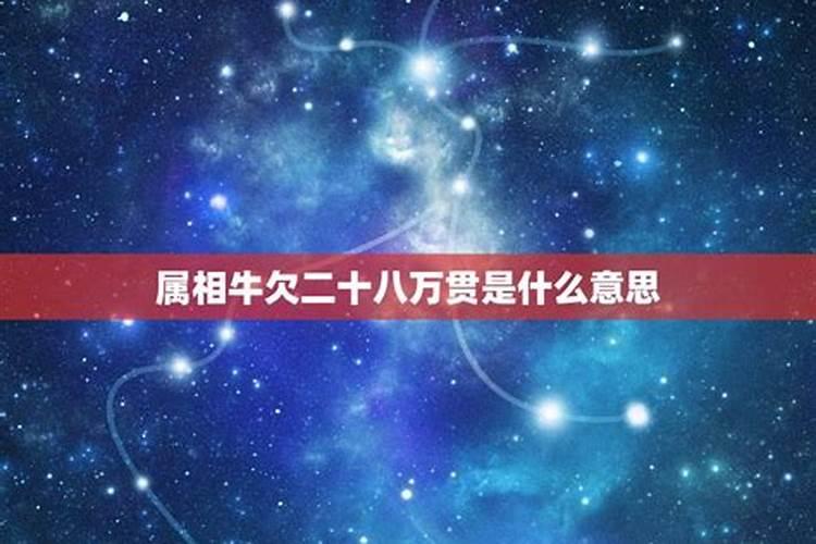 2022年星座爱情运