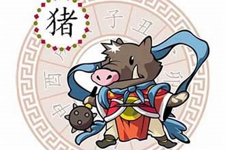 今年属猪五月运势