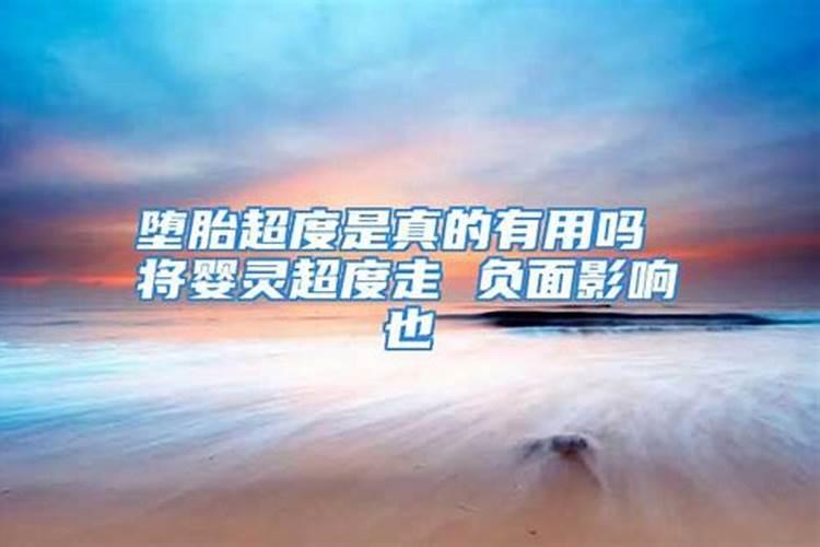 蒋介石是属于什么生肖