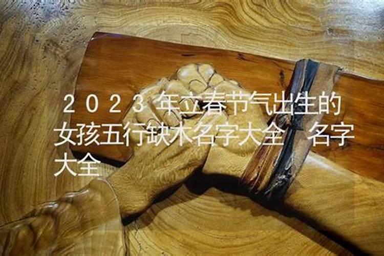 2023年立春的孩子出生