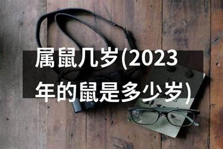 犯太岁戴什么2024年